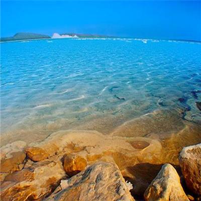 足球滚球的正规平台app手机app下载