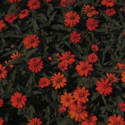 万博体育App全站下载截图