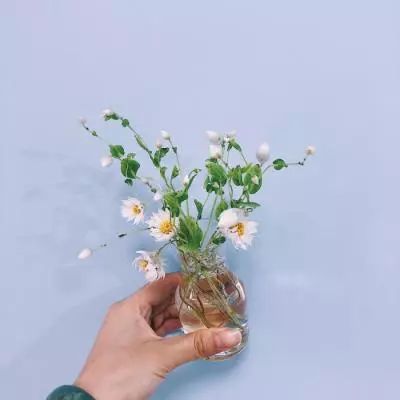 米乐app下载官网截图