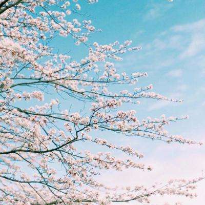 皇冠正规娱乐平台手机app下载